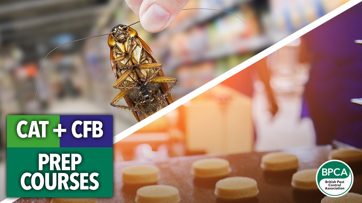 CATandCFBPrepCoursesavailablenow